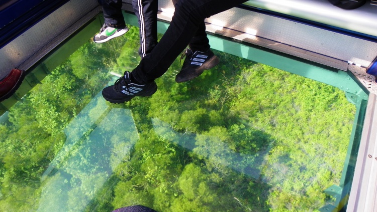 香港自驾游攻略