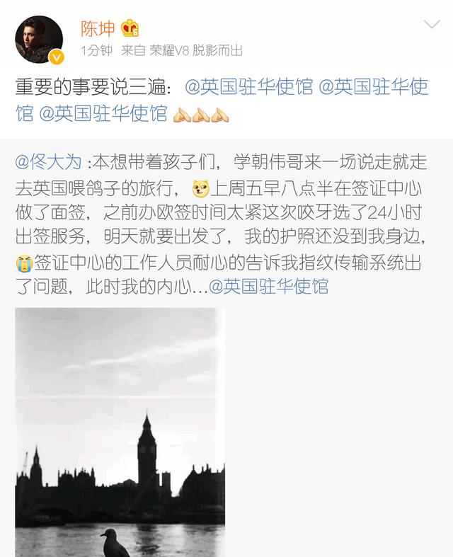 1485069976511761.jpg 1-160P9133000S7.jpg