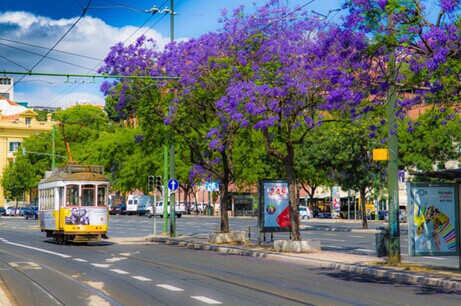 1485078491627041.jpg http://www.qiaowai.net/uploads/allimg/161221/70-161221095F4a7.jpg