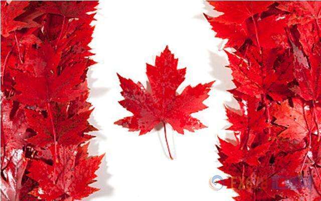 1529406651962824.jpg 移民加拿大.jpg